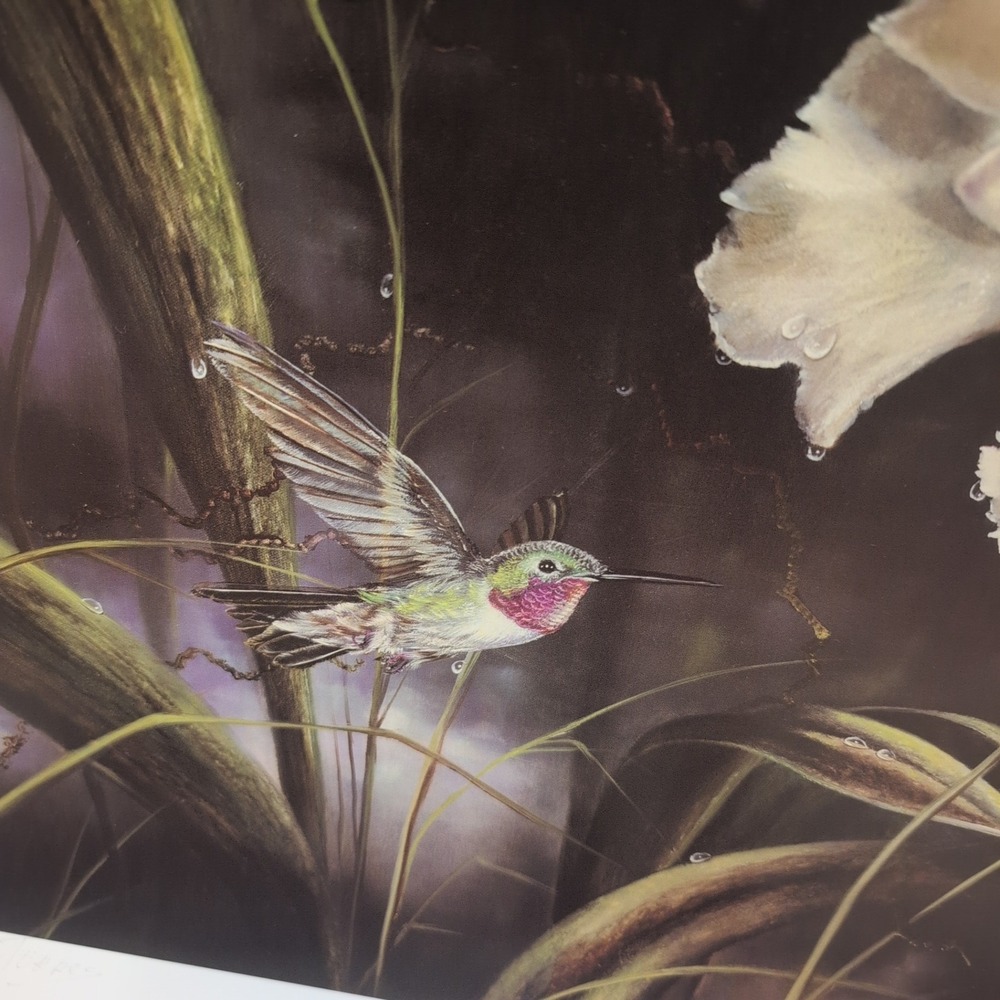 Sonia Torres Limited Ed Signed Hummingbird Odontoglossum Crispum Artist's Print‎ - Picture 4 of 8